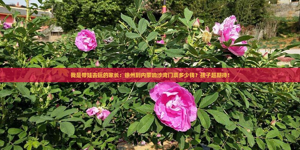徐州到内蒙响沙湾门票