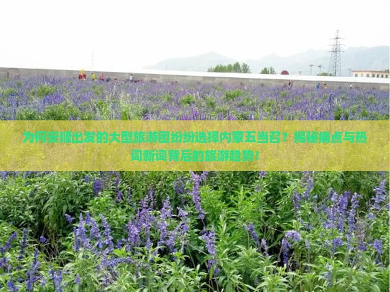 安顺去内蒙五当召大型旅游团