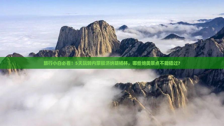 八月去内蒙额济纳胡杨林五日游