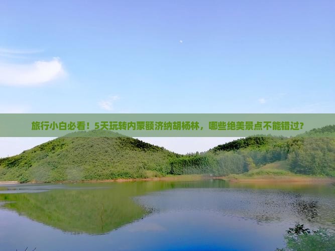 八月去内蒙额济纳胡杨林五日游