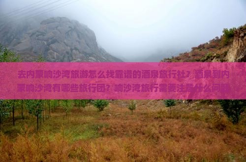 酒泉去内蒙响沙湾旅行社