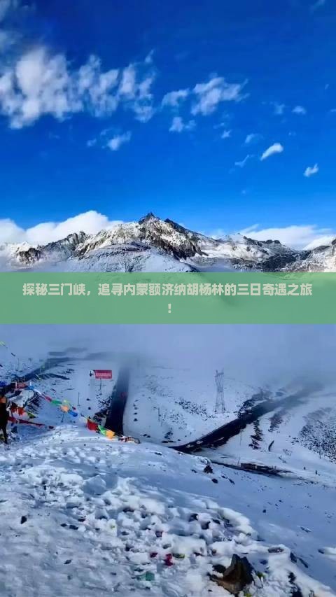 三门峡到内蒙额济纳胡杨林三日游