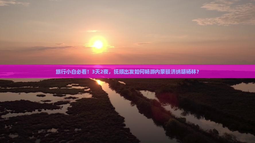 抚顺到内蒙额济纳胡杨林三日游 抚顺到内蒙额济纳胡杨林三日游