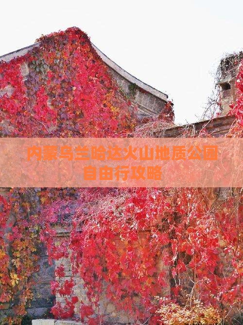 阿泰勒去内蒙乌兰哈达火山地质公园自由行