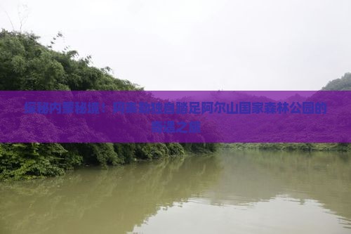 阿泰勒去内蒙阿尔山国家森林公园个人游