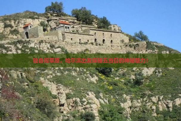 哈尔滨到内蒙五当召个人游