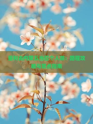 垦利去内蒙五当召个人游