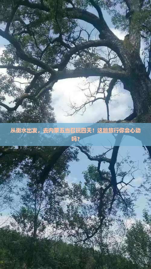 衡水去内蒙五当召四日游