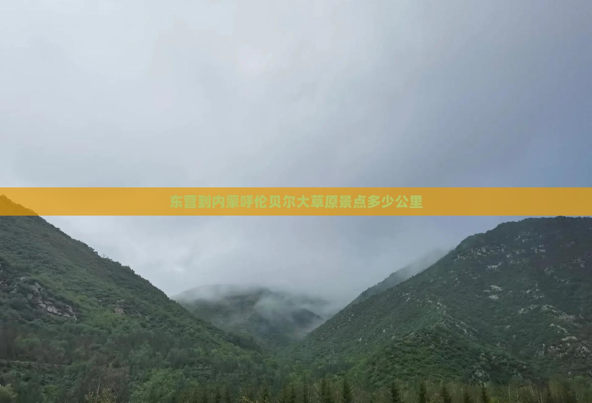 东营到内蒙呼伦贝尔大草原景点