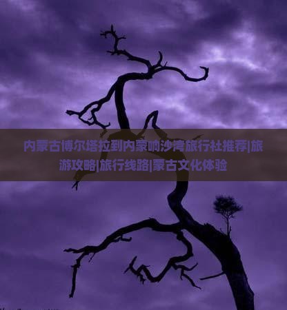 博尔塔拉去内蒙响沙湾旅行社