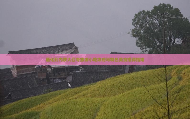通化到内蒙大召寺旅游小吃