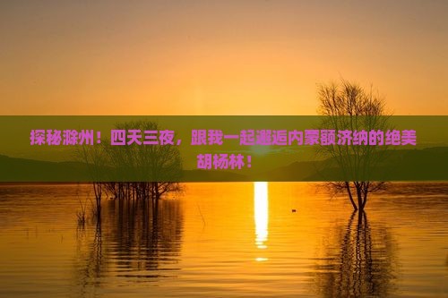 滁州到内蒙额济纳胡杨林四日游