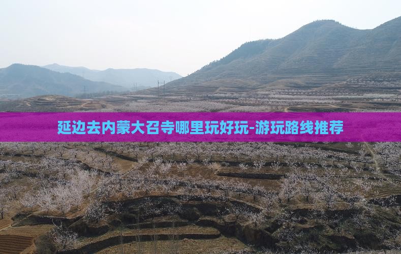 延边去内蒙大召寺哪里玩