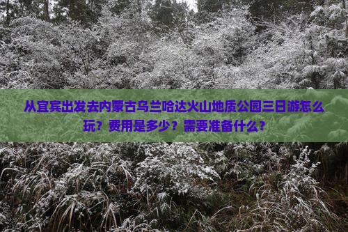 宜宾到内蒙乌兰哈达火山地质公园三日游