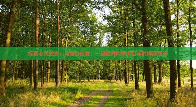 马鞍山到内蒙大召寺旅行社