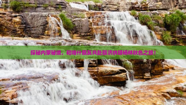 喀什去内蒙额济纳胡杨林团体旅游