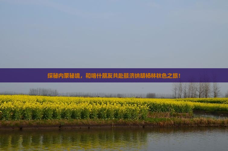 喀什去内蒙额济纳胡杨林团体旅游