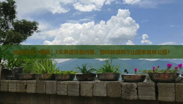 承德到内蒙阿尔山国家森林公园七日游