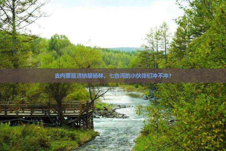 七台河去内蒙额济纳胡杨林景点
