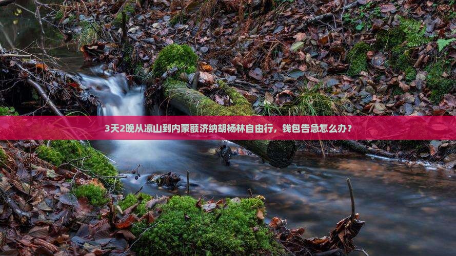 凉山去内蒙额济纳胡杨林自由团
