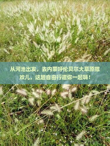 河池到内蒙呼伦贝尔大草原自由团