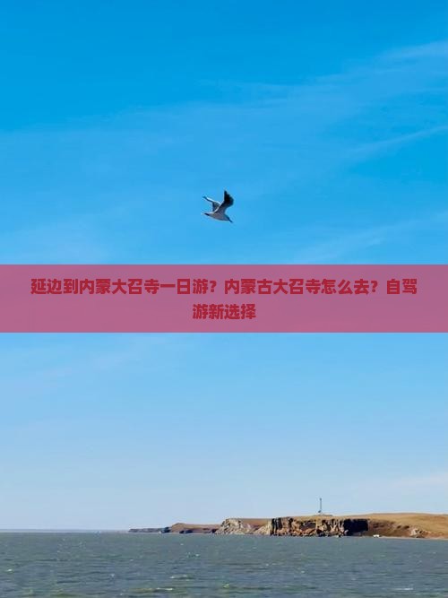 延边到内蒙大召寺一日游