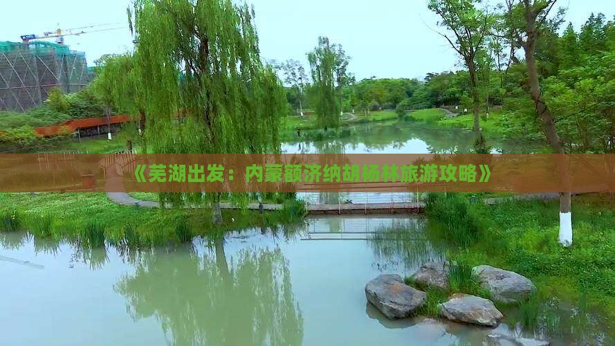 芜湖去内蒙额济纳胡杨林自由行