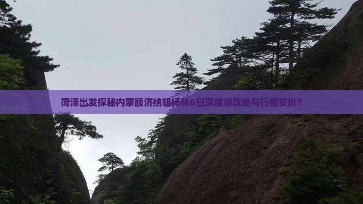 菏泽到内蒙额济纳胡杨林六日游