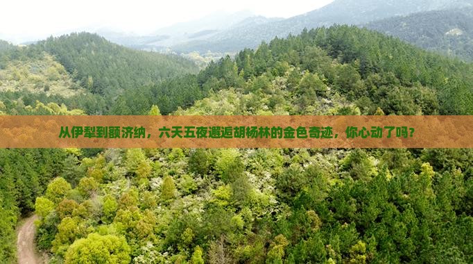 伊犁到内蒙额济纳胡杨林六日游