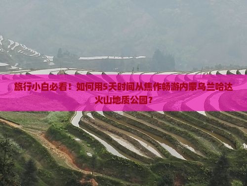 焦作去内蒙乌兰哈达火山地质公园自由团