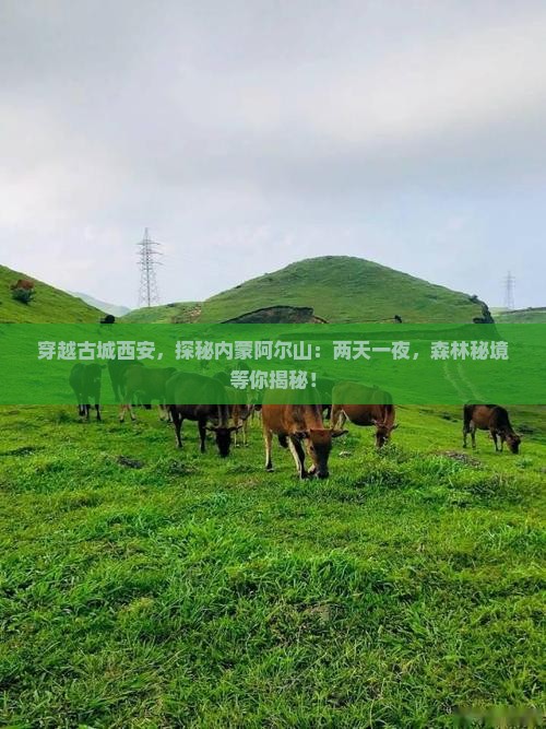 西安到内蒙阿尔山国家森林公园二日游