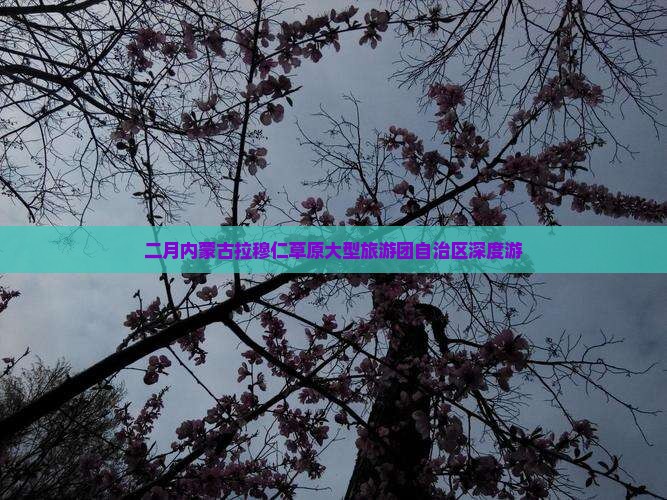 二月到内蒙希拉穆仁草原大型旅游团