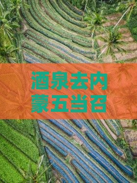 酒泉去内蒙五当召自由行