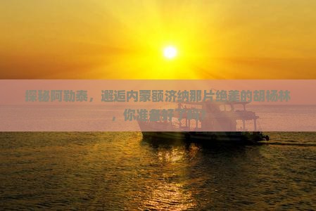 阿勒泰到内蒙额济纳胡杨林旅游