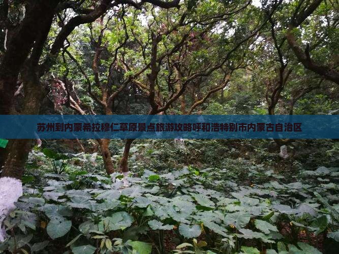 苏州去内蒙希拉穆仁草原景点