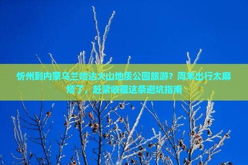 忻州到内蒙乌兰哈达火山地质公园旅游
