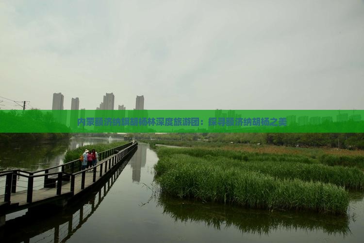 普洱去内蒙额济纳胡杨林大型旅游团