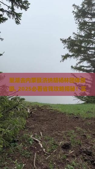 巢湖去内蒙额济纳胡杨林团体旅游