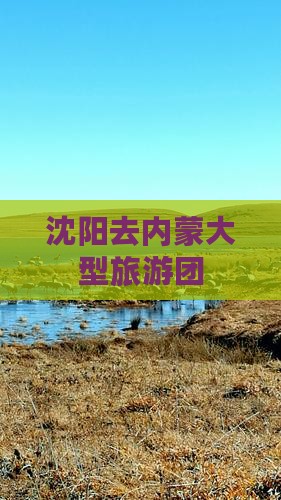 沈阳去内蒙大型旅游团