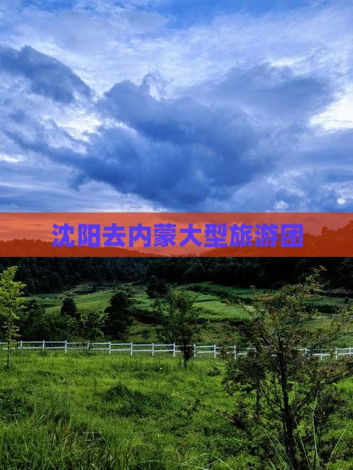 沈阳去内蒙大型旅游团