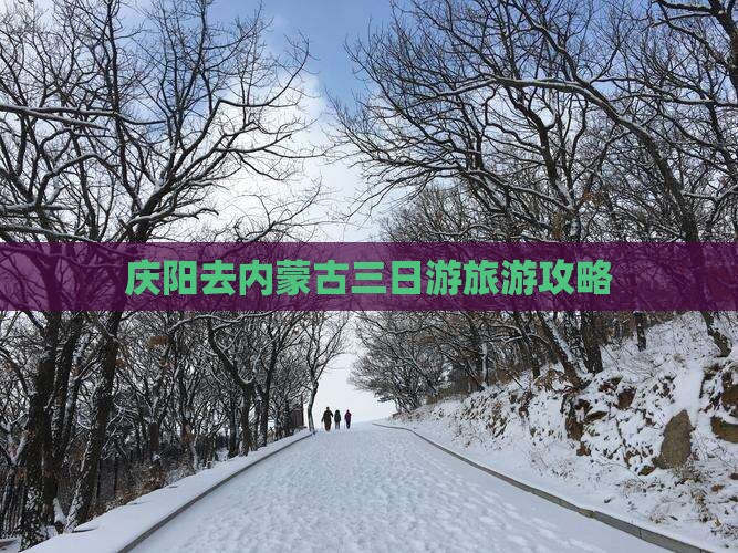 庆阳去内蒙三日游