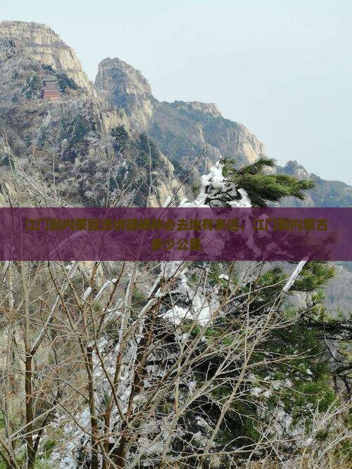 江门到内蒙额济纳胡杨林必去地