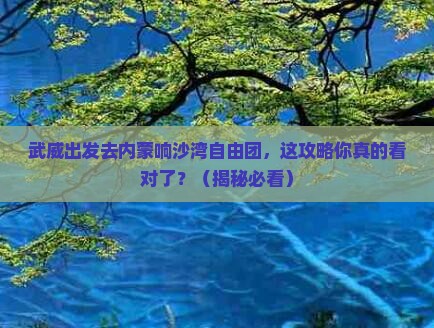 武威去内蒙响沙湾自由团