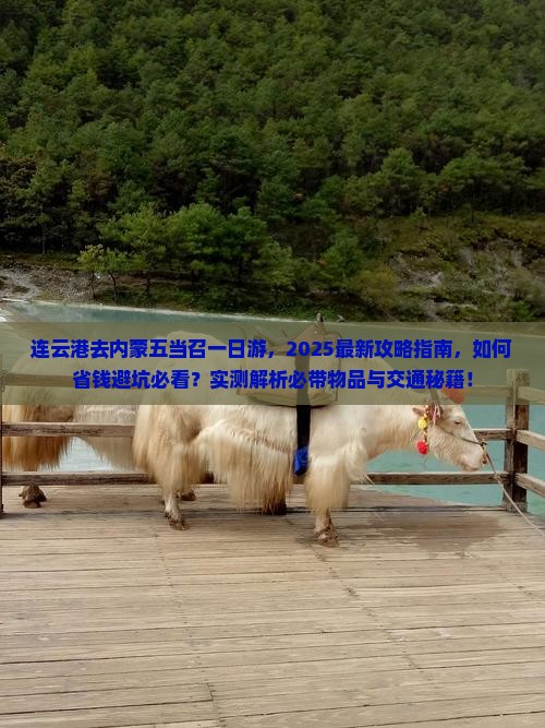 连云港去内蒙五当召一日游