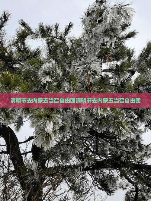 清明节去内蒙五当召自由团
