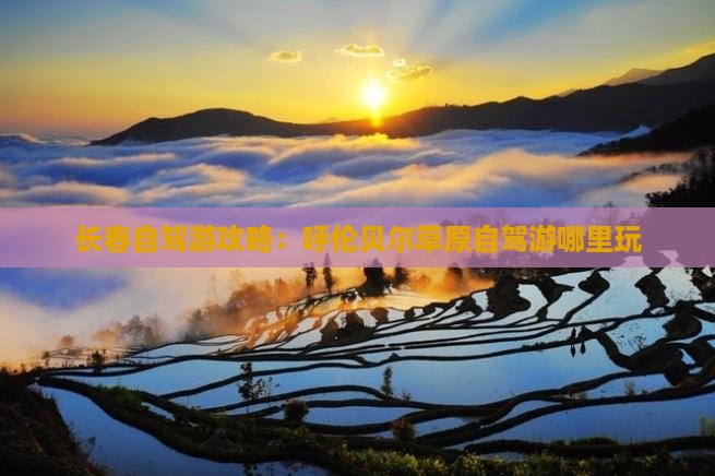 长春到内蒙呼伦贝尔大草原哪里玩