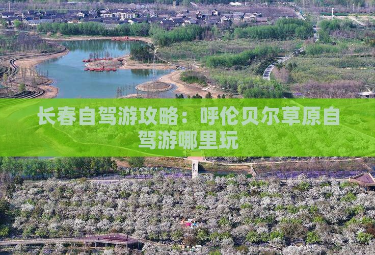 长春到内蒙呼伦贝尔大草原哪里玩