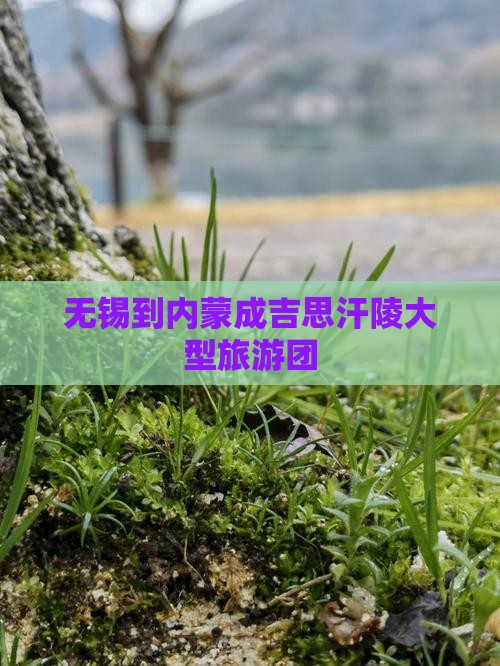 无锡到内蒙成吉思汗陵大型旅游团