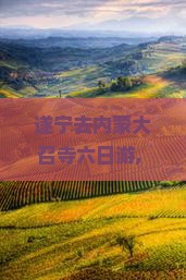 遂宁去内蒙大召寺六日游