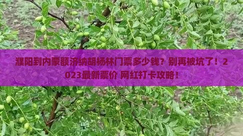濮阳到内蒙额济纳胡杨林门票